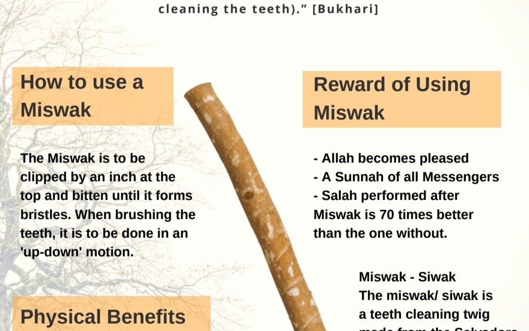 The Miswak – Nature’s Best Toothbrush (Plus Benefits)
