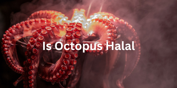 is octopus halal